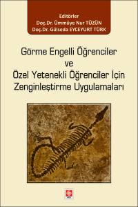 Görme Engelli Öğrenciler Ve Özel Yetenekli Öğrenciler İçin Zenginleştirme Uygulamaları