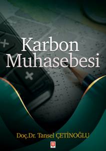 Karbon Muhasebesi