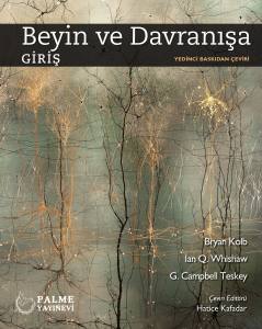 Beyin Ve Davranışa Giriş