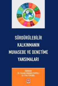 Sürdürülebilir Kalkınmanın Muhasebe Ve Denetime Yansımaları