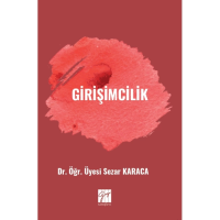 Girişimcilik