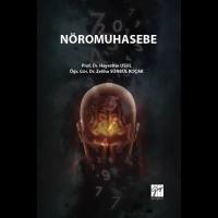 Nöromuhasebe