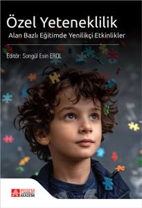 &Ouml;zel Yeteneklilik Alan Bazlı Eğitimde Yenilik&ccedil;i Etkinlikler&nbsp;